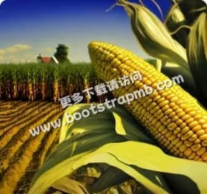 专注体育，点燃热情 - 爱奇艺体育
